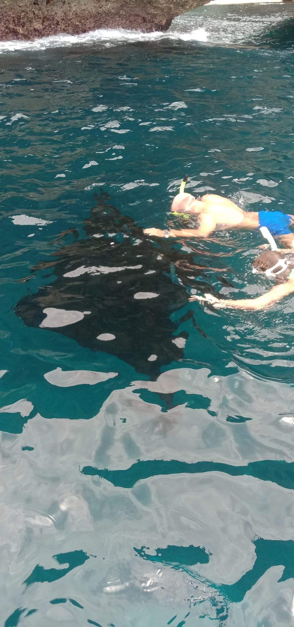 Snorkeling Tour